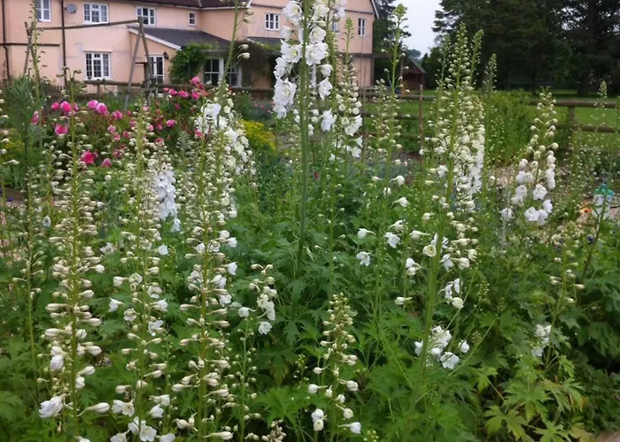 The Martins B&B